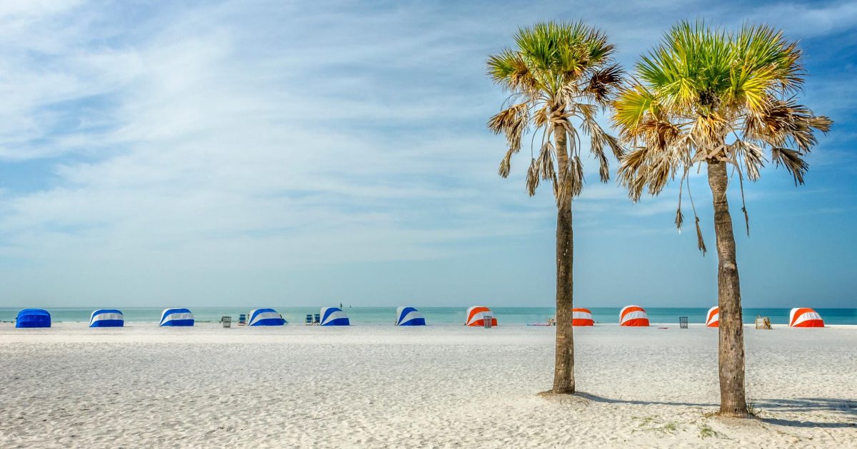 WE, THE PIZZA Clearwater Beach Florida Pizza By the Slice, Wings